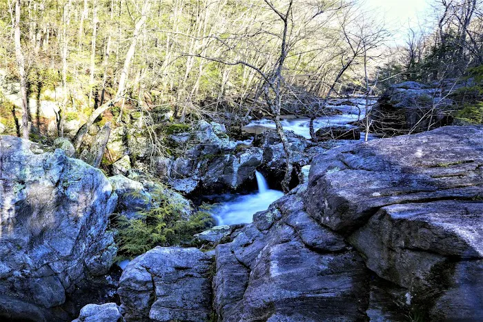 Devils Glen Park Picture 10