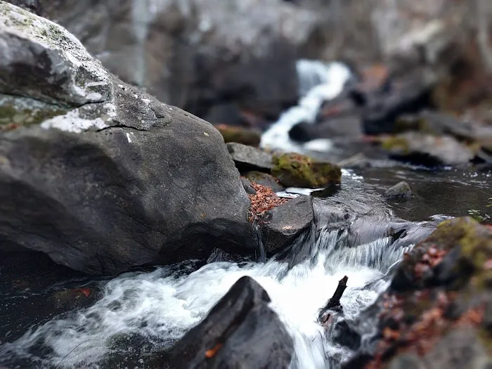 Devils Glen Park Picture 9