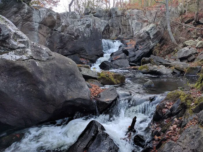 Devils Glen Park Picture 4