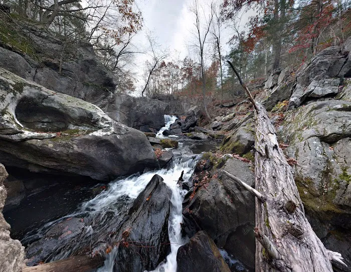 Devils Glen Park Picture 8