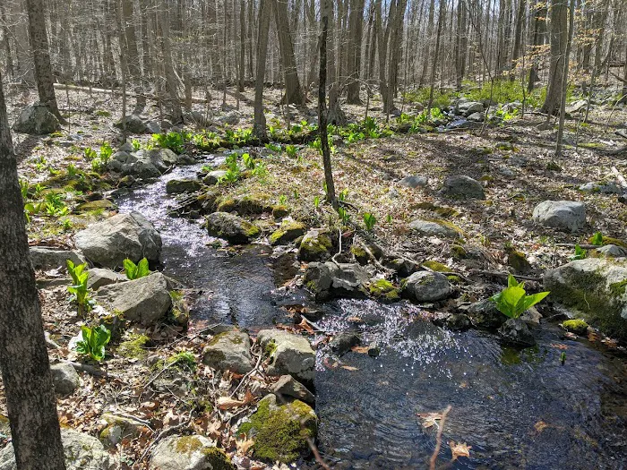 Topstone Park Picture 6