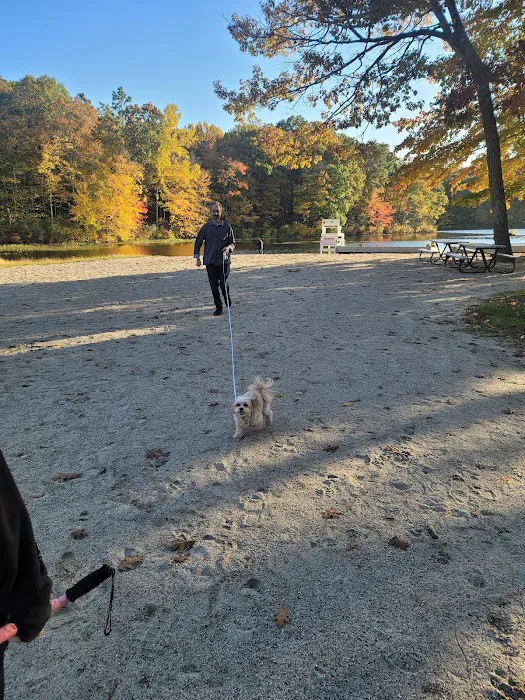 Topstone Park Picture 2