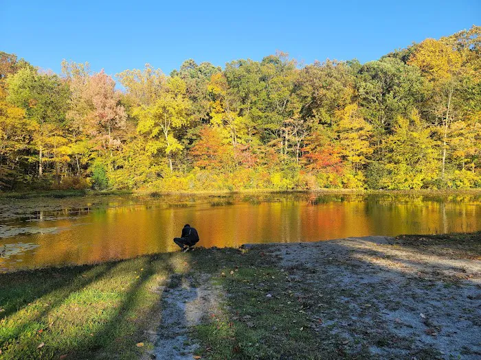 Topstone Park Picture 3
