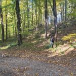 Topstone Park