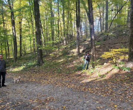 Topstone Park
