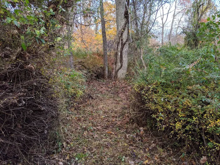 Stormfield Picture 5
