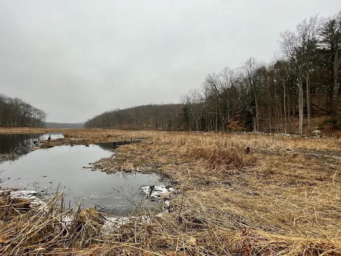 Bennetts Pond State Park Picture 8
