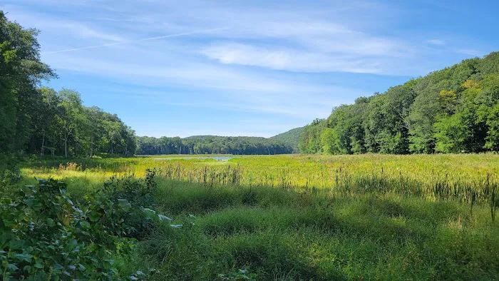 Bennetts Pond State Park Picture 1