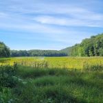 Bennetts Pond State Park