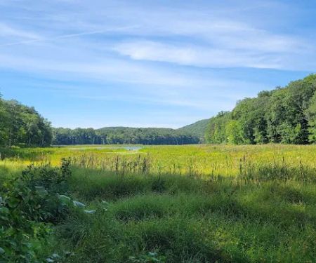 Bennetts Pond State Park