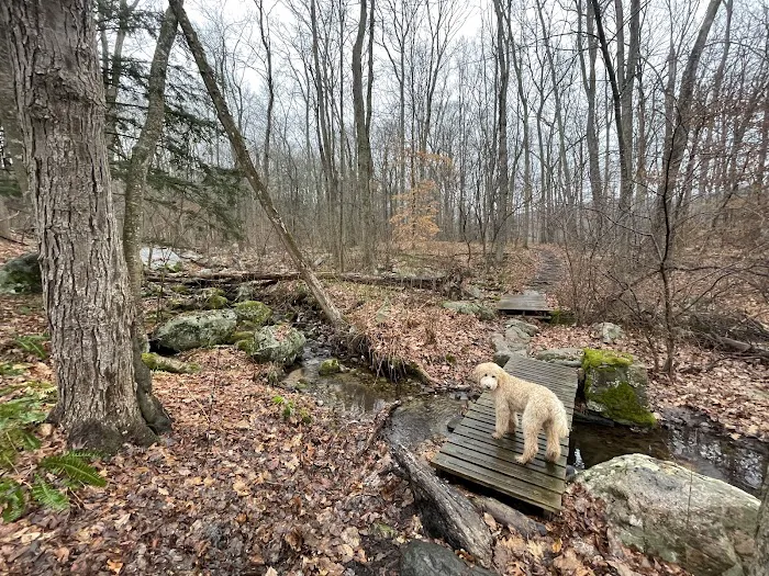 Bennetts Pond State Park Picture 4