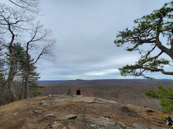 Bennetts Pond State Park Picture 9