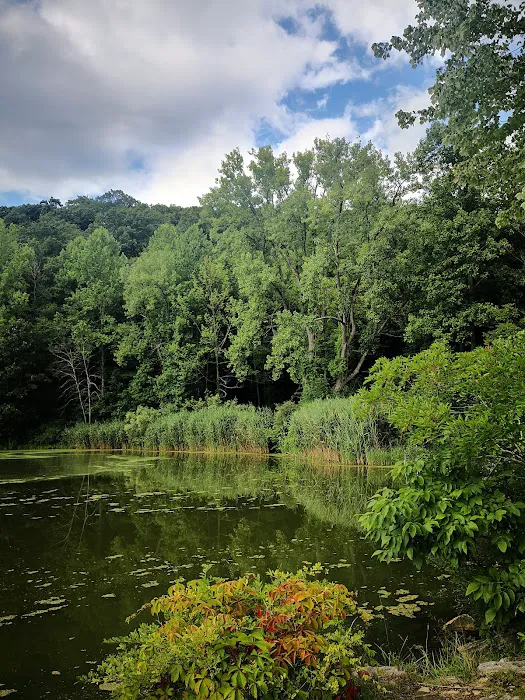 Lake Windwing Picture 3