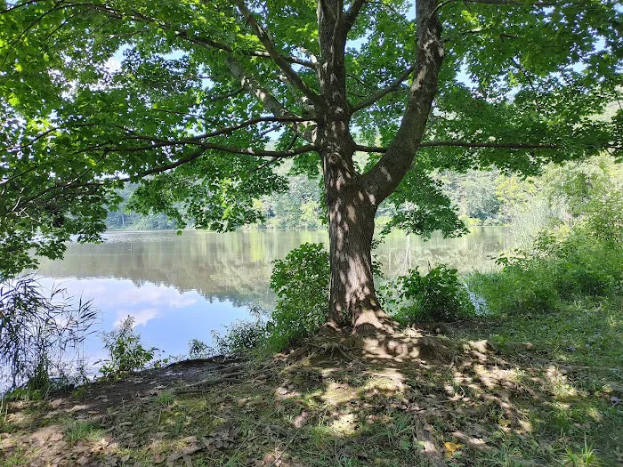 Lake Windwing Picture 6