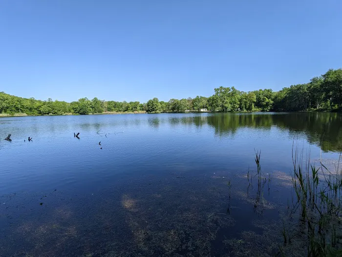 Lake Windwing Picture 2