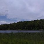 Lake Windwing
