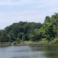 Booler’s Point ico