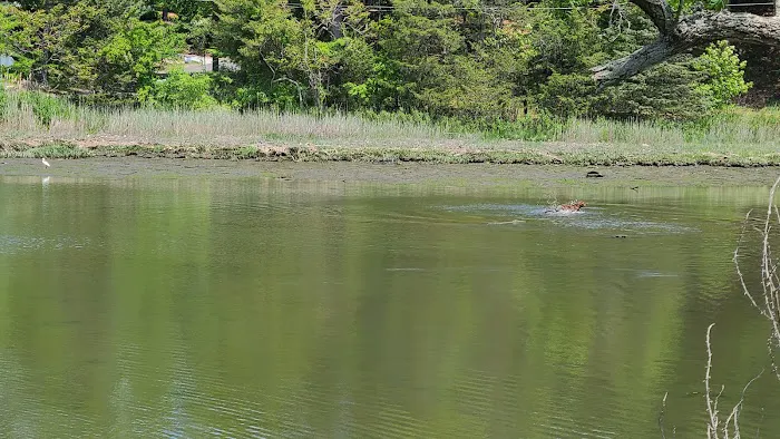 Grace K. Salmon Park Picture 5
