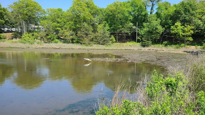 Grace K. Salmon Park Picture 3