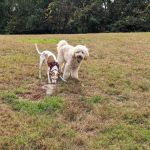 Winslow Park