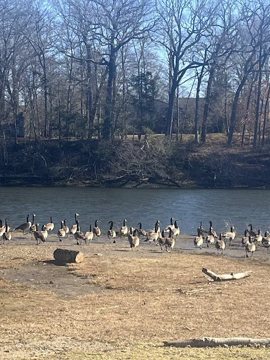 Riverside Park Picture 5