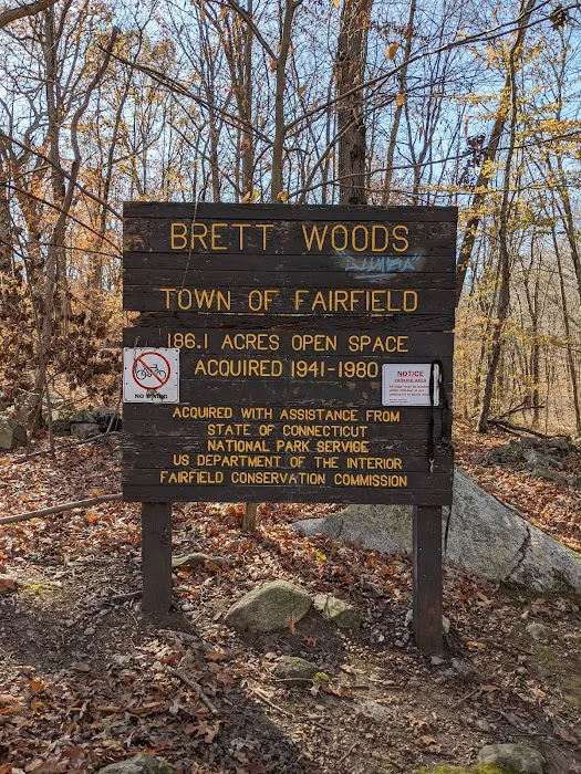Brett Woods Open Space Picture 8