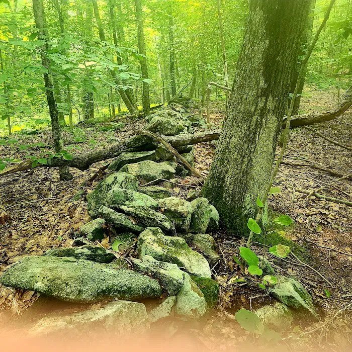 Aspetuck Park Trail Picture 3