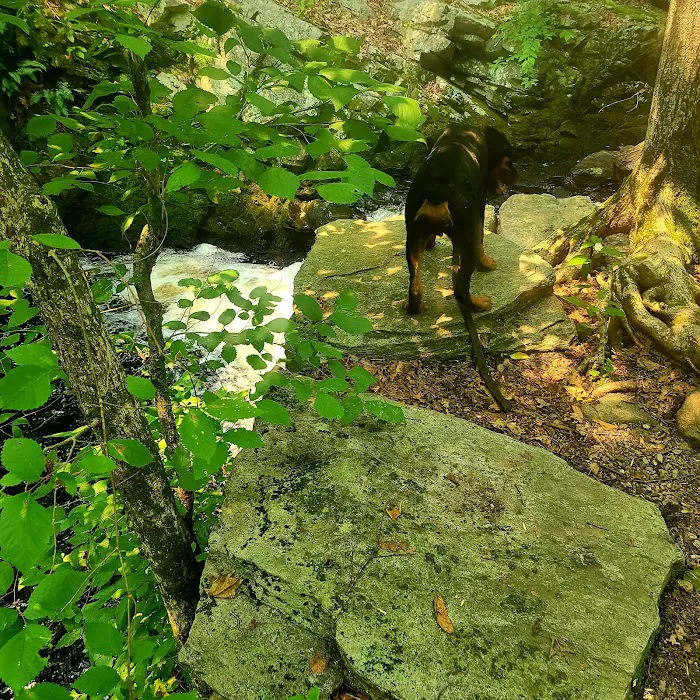 Aspetuck Park Trail Picture 8