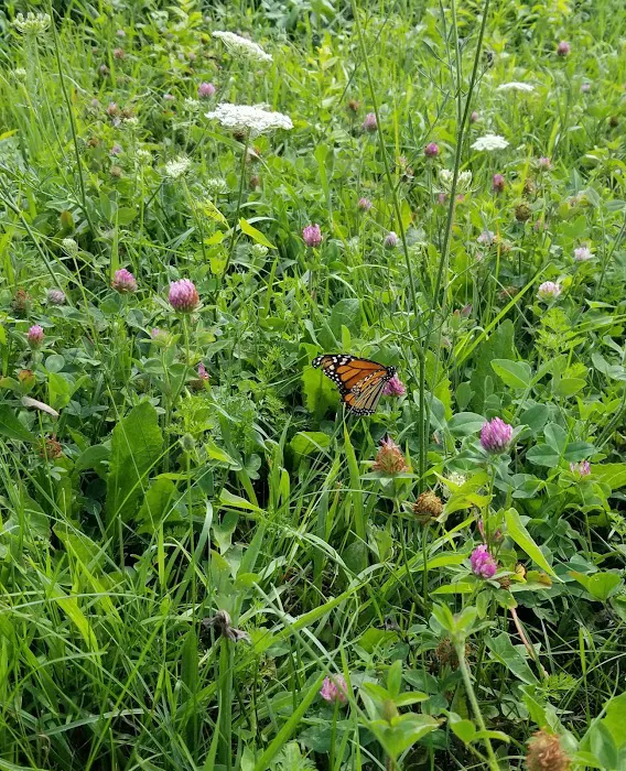 Crow Hill Nature Preserve Picture 9