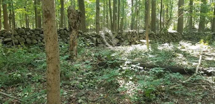 Crow Hill Nature Preserve Picture 1