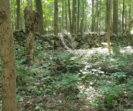 Crow Hill Nature Preserve