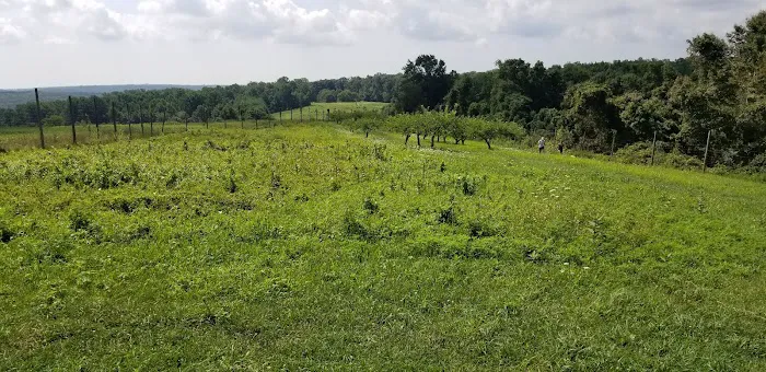 Crow Hill Nature Preserve Picture 6
