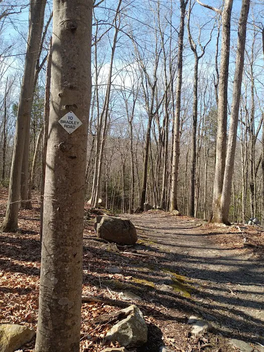 Crow Hill Nature Preserve Picture 8