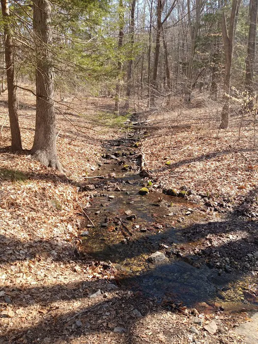 Crow Hill Nature Preserve Picture 7