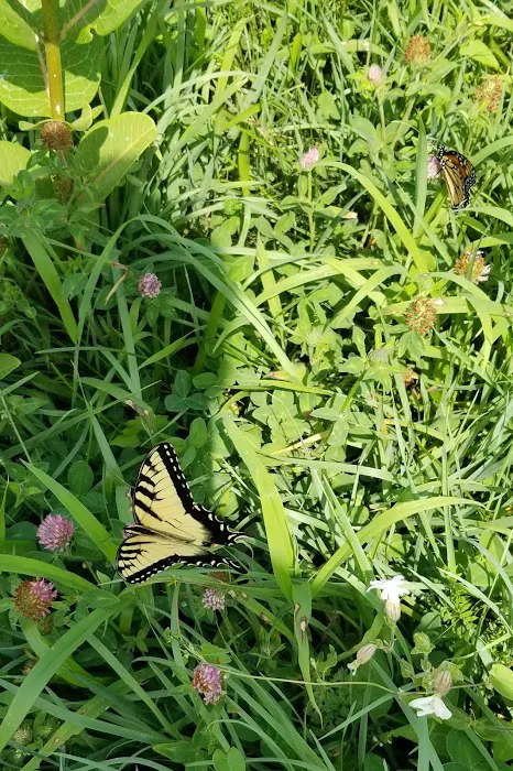 Crow Hill Nature Preserve Picture 5