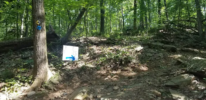 Crow Hill Nature Preserve Picture 2