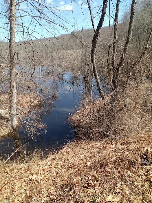 Crow Hill Nature Preserve Picture 4