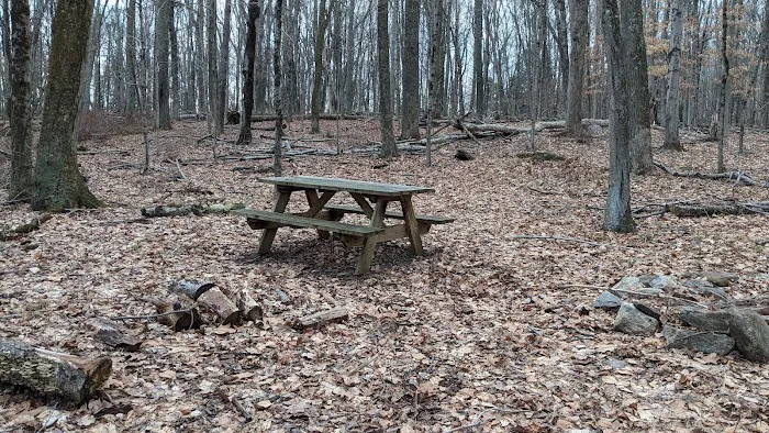 Aspetuck Park Picture 6