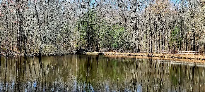 Roy and Margot Larsen Wildlife Sanctuary Picture 5