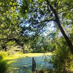 Roy and Margot Larsen Wildlife Sanctuary