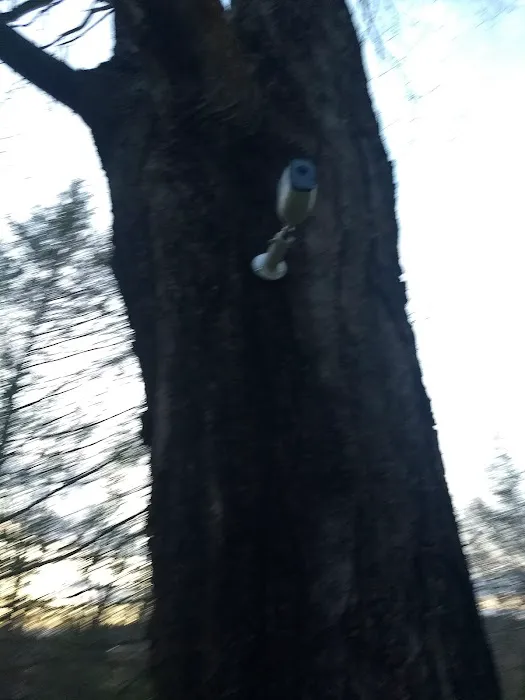 Freeborn Trail Picture 2