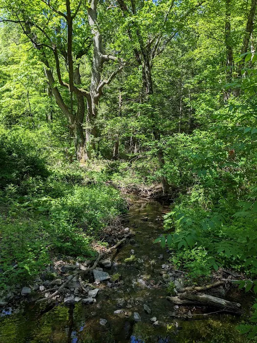 Trout Brook Valley Preserve Picture 1