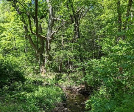 Trout Brook Valley Preserve