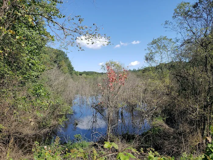 Trout Brook Valley Preserve Picture 6
