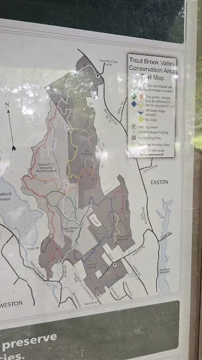 Trout Brook Valley Preserve Picture 8