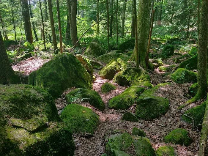 Trout Brook Valley Preserve Picture 10