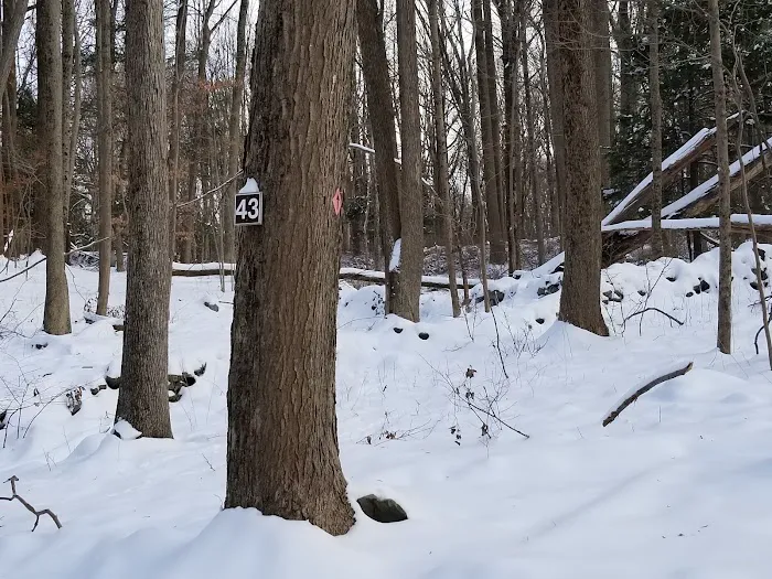 Trout Brook Valley Preserve Picture 3