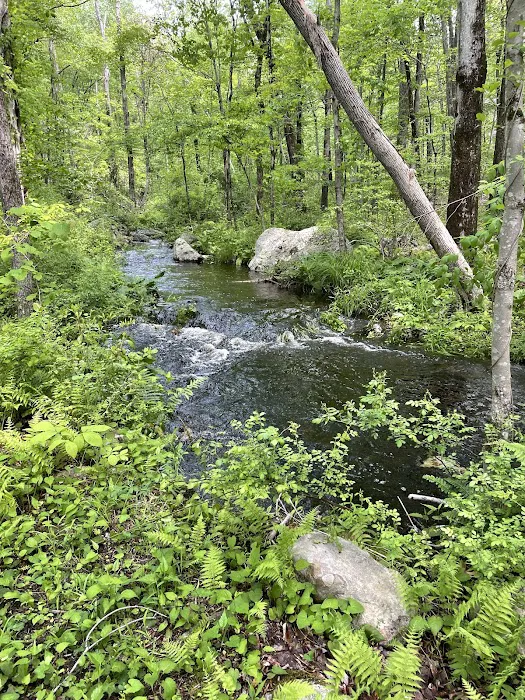 Devil's Den Preserve Pinchbeck Trail Parking Picture 10