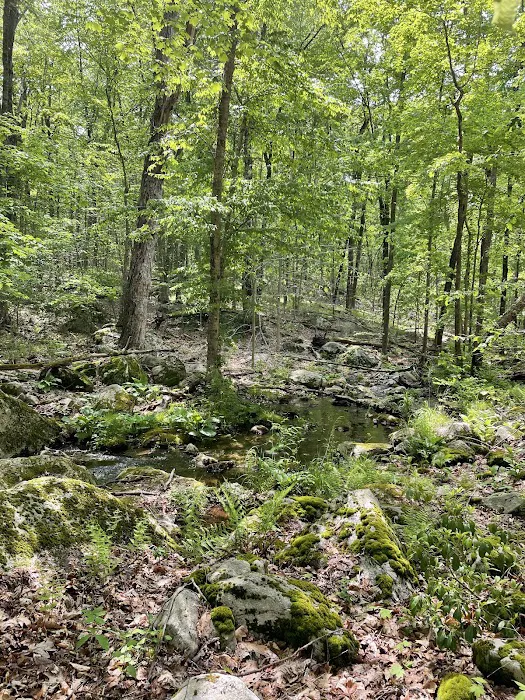 Devil's Den Preserve Pinchbeck Trail Parking Picture 6