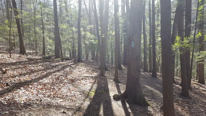 Devil's Den Preserve Pinchbeck Trail Parking Picture 8